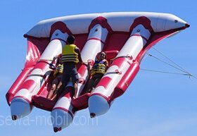 flying fish di bali