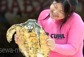 turtle island di bali